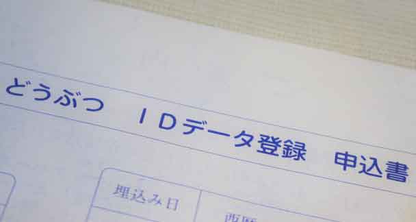 健康診断